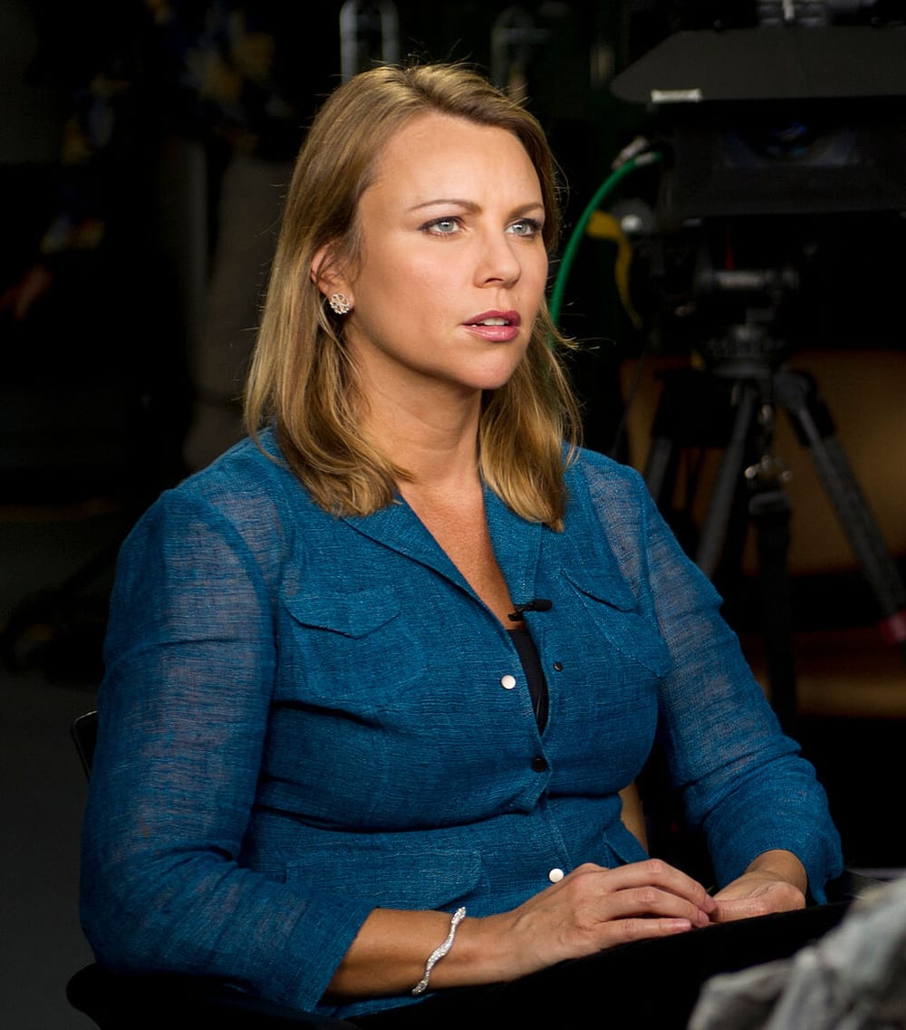 Lara Logan on the Rogue Resistance Podcast post image